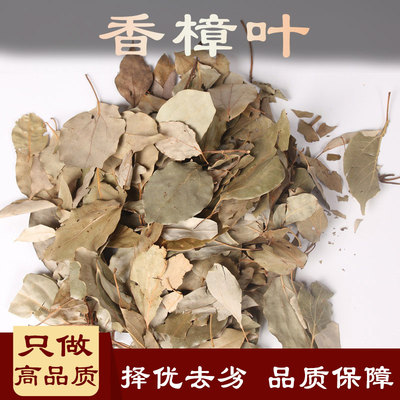 香樟叶中药材500克雾之兰