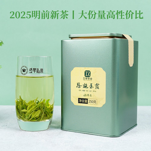 2025明前春茶立早恩施玉露群体种绿茶叶湖北特产恩施硒茶散茶罐装