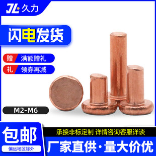 卯钉M2 GB109平头铜铆钉紫铜平帽铆钉实心铆钉击敲式 M2.5M3M4M5M6