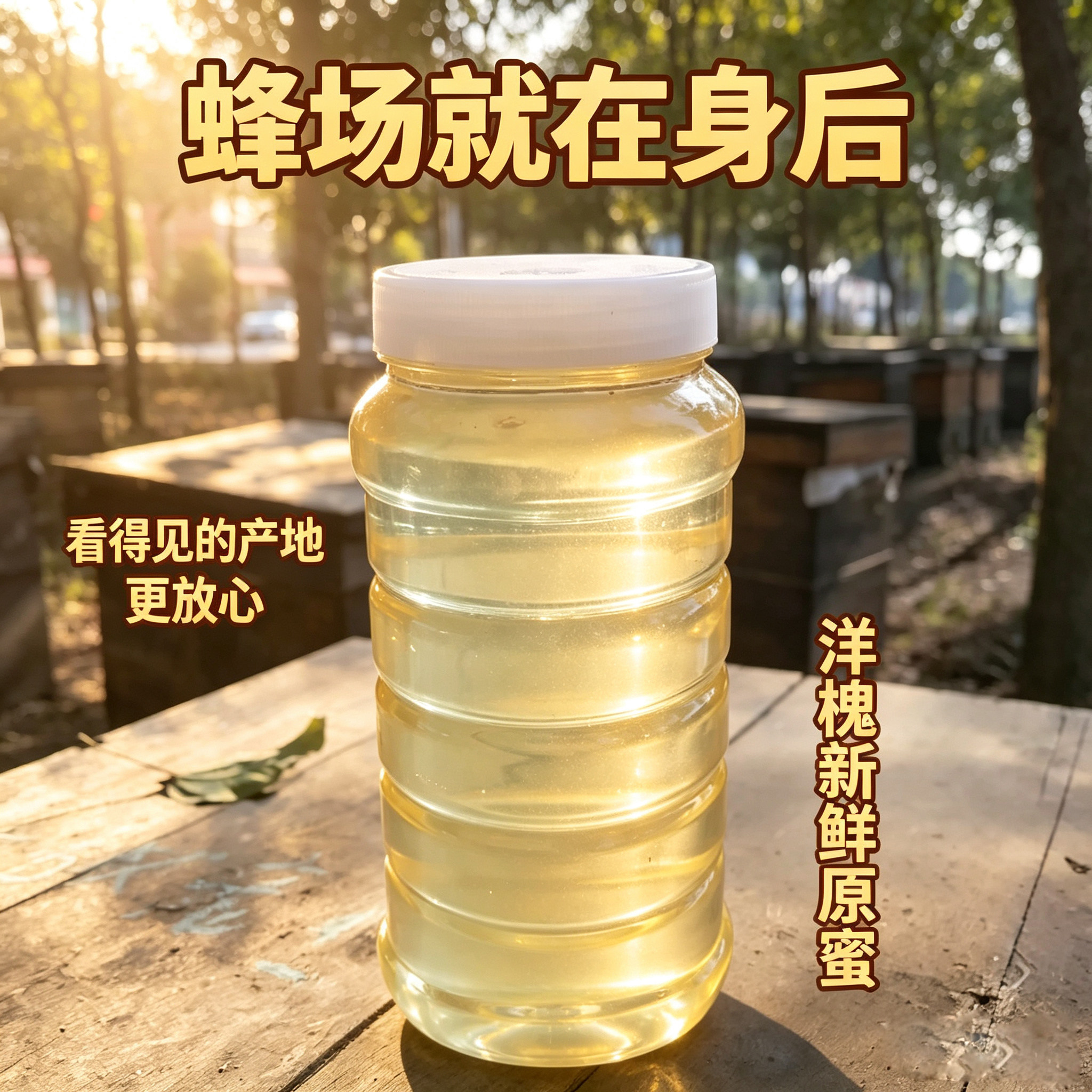 今年正宗蜂蜜农家自产天然原野生槐花蜜 刺槐便携原产地土蜂蜜