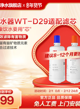 3M家用直饮净水器WT-D29型原装替换滤芯双子2000/WT-E20通用滤芯
