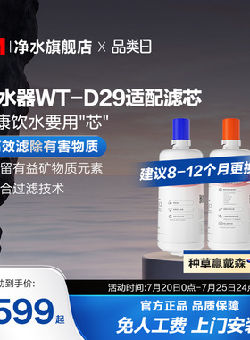 3M家用直饮净水器WT-D29型原装替换滤芯双子2000/WT-E20通用滤芯