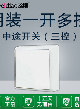 飞雕明装中途双联双控家用开关