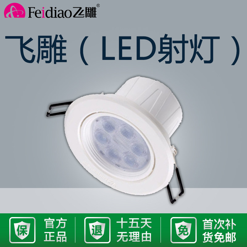 飞雕led客厅过道吊顶天花灯图片