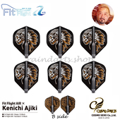 Fit COSMO Flight AIR 方形飞镖翼镖叶镖尾 日本原装 安食贤一 正品