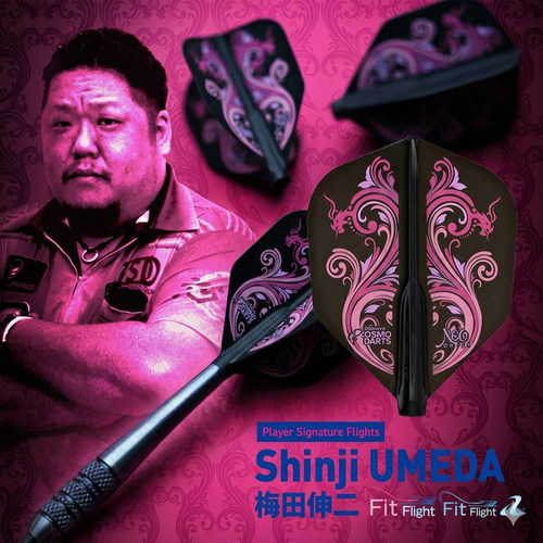 FitFlight飞镖翼Cosmo日本原装