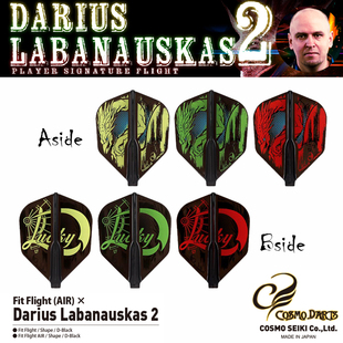 COSMO Fit Flight Darius Labanauskas ver.2飞镖翼镖叶镖尾3个装