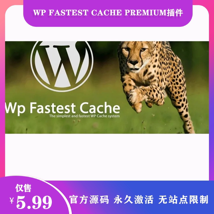 WP Fastest Cache Premium 全站生成html静态缓存加速优化插件