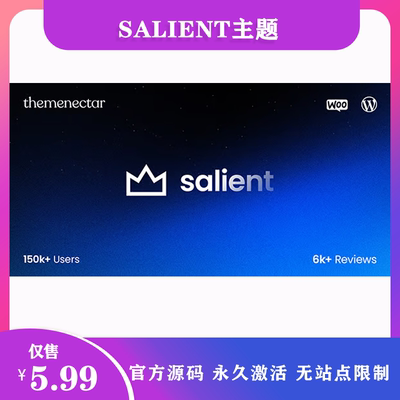 Salient 汉化中文版|创意酷炫多功能响应式WordPress企业主题模板