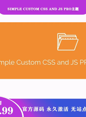 Simple Custom CSS and JS PRO 简单自定义CSS和JS设计插件