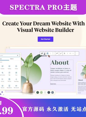 Spectra Pro中文版WordPress古腾堡Gutenberg区块自定义编辑插件