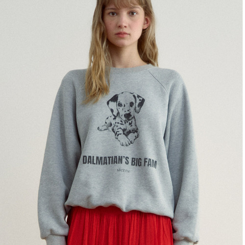 韩国sienne直邮代购2025春秋女装宽松时尚圆领套头休闲长袖卫衣