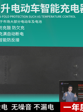 东升电动车充电器48V12AH20ah30ah40ah50ah60v72v20/32ah自动关机