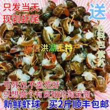 活虾现剥新鲜虾尾洪湖小龙虾尾鲜活虾去虾线虾球麻辣现剥现发包邮