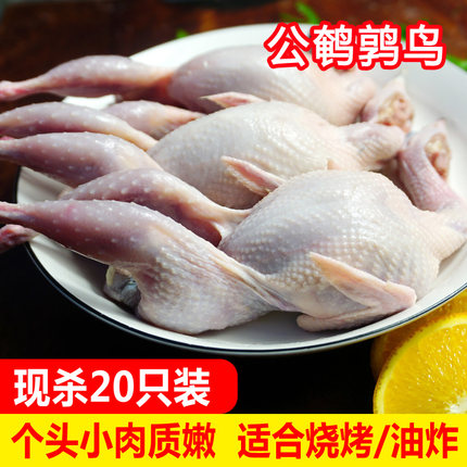 新鲜公鹌鹑鸟肉公鹌鹑现杀速冻鹌鹑白条烧烤油炸生骨肉20只批发