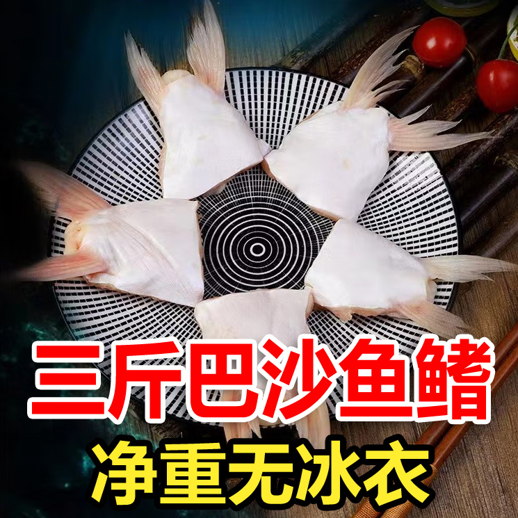 新鲜巴沙鱼鳍巴沙鱼翅冷冻鮰鱼翅鮰鱼鳍回鱼下巴巴沙鱼翅1500g