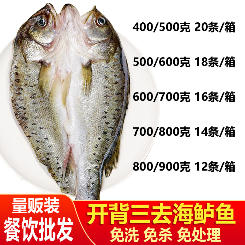 开背海鲈鱼深海烤鱼半成品