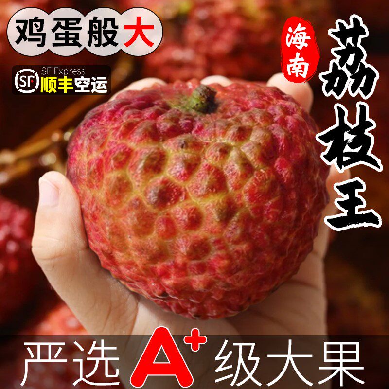 蜜丁香荔枝王5斤新鲜水果当季孕妇精选大果整箱顺丰包邮非无核