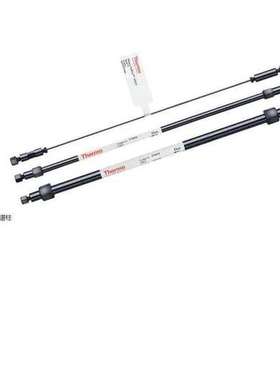 046076 赛默飞Thermo CG12A阳离子保护柱2X50MM 戴安CS12A色谱柱