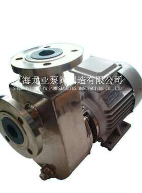 32FZB-20L型永磁电动氟塑料耐腐二磺酸泵-VAREM氟塑料自吸泵