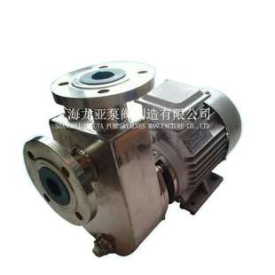 32FZB-20L型永磁电动氟塑料耐腐二磺酸泵-VAREM氟塑料自吸泵