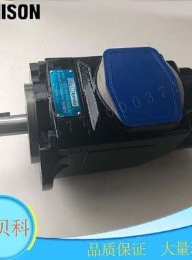 丹尼逊叶片泵T6CC-008-014 017 020 022 025 028 031-5R00-C100