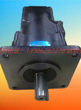 美国DENISON丹尼逊叶片泵SDV20-1S11S-11A现货SDV20-1S11P-1D