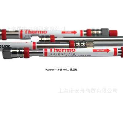 Thermo柱芯 Hypersil苯基HPLC色谱柱保护柱 赛默飞30905-014001