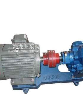 2CY-2-1.452cy型齿轮油泵 固定式润滑油泵 不锈钢变频永磁齿轮泵