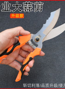 大蒜专用剪刀剪蒜头剪蒜剪子冬麦苗洋葱剪剪大蒜神器剪大蒜剪刀