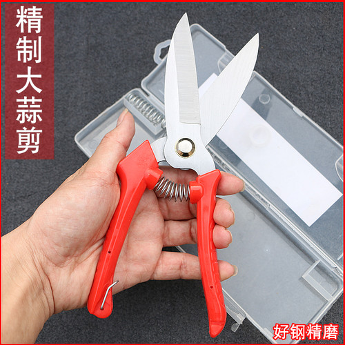 大全hofa大蒜专用剪刀