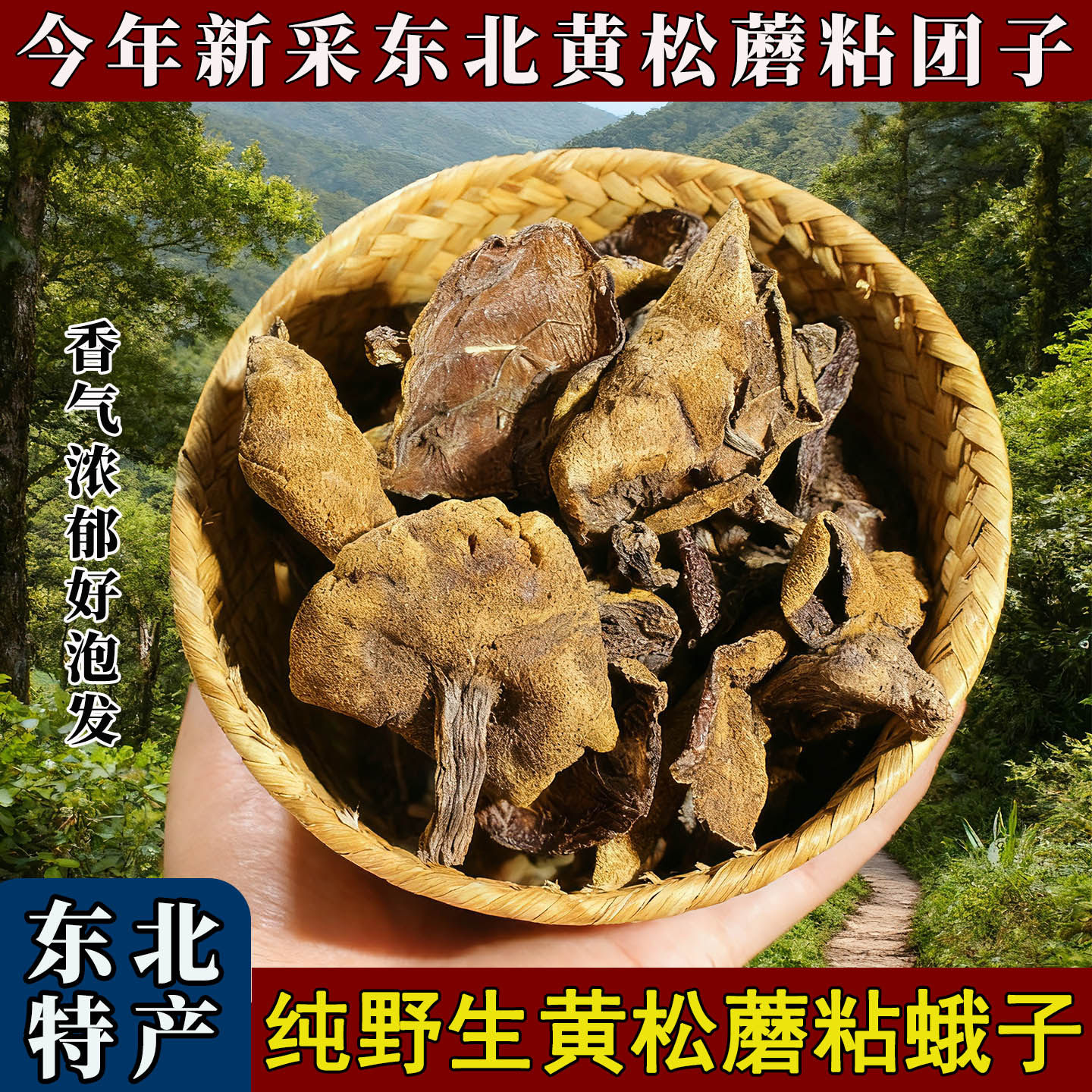 东北特产天然松蘑东北野生蘑菇干货粘团子松蛾子黑蘑菇特级黄松蘑