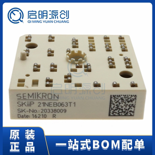 SKIIP21NEB063T1 功率模块 IGBT模块 全新原装进口 SEMIKRON 现货