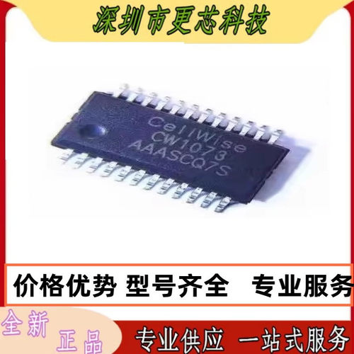全新原装 CW1073AAAS SSOP24 电池保护IC 内置MOSFET驱动功能