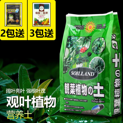 朝日通用绿植专用土有机营养土