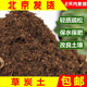 草炭土大包养花种菜育苗盆栽通用型土壤泥炭土有机植物基质花肥料