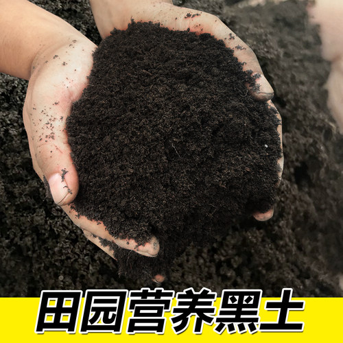 优质田园黑土营养土园艺绿植花土