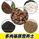 多肉颗粒营养土蛭石陶粒珍珠岩椰糠草木灰铺垫底育苗种植介基质