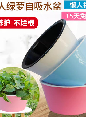 树脂简约懒人自吸水花盆