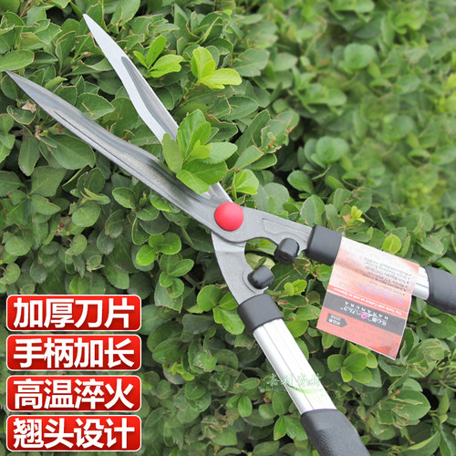 粗植树木修枝花木剪大力剪剪刀
