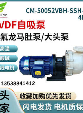 PVDF氟塑料CM50052VBH-SSH-LD自吸泵耐酸碱化工防腐蚀水泵4KW