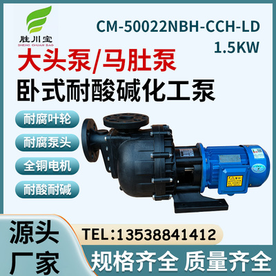 卧式PP塑料耐酸碱泵大头泵CM-50022NBH-CCH-LD自吸泵排污泵1.5KW