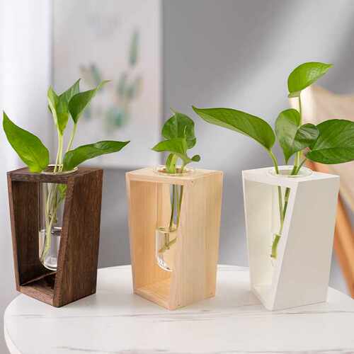 玻璃瓶水培植物简约北欧绿植花瓶