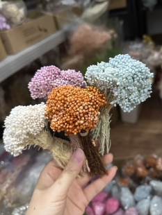 米花diy永生花礼物花材浮游花浮油瓶礼盒婚礼伴手礼手工手账小米