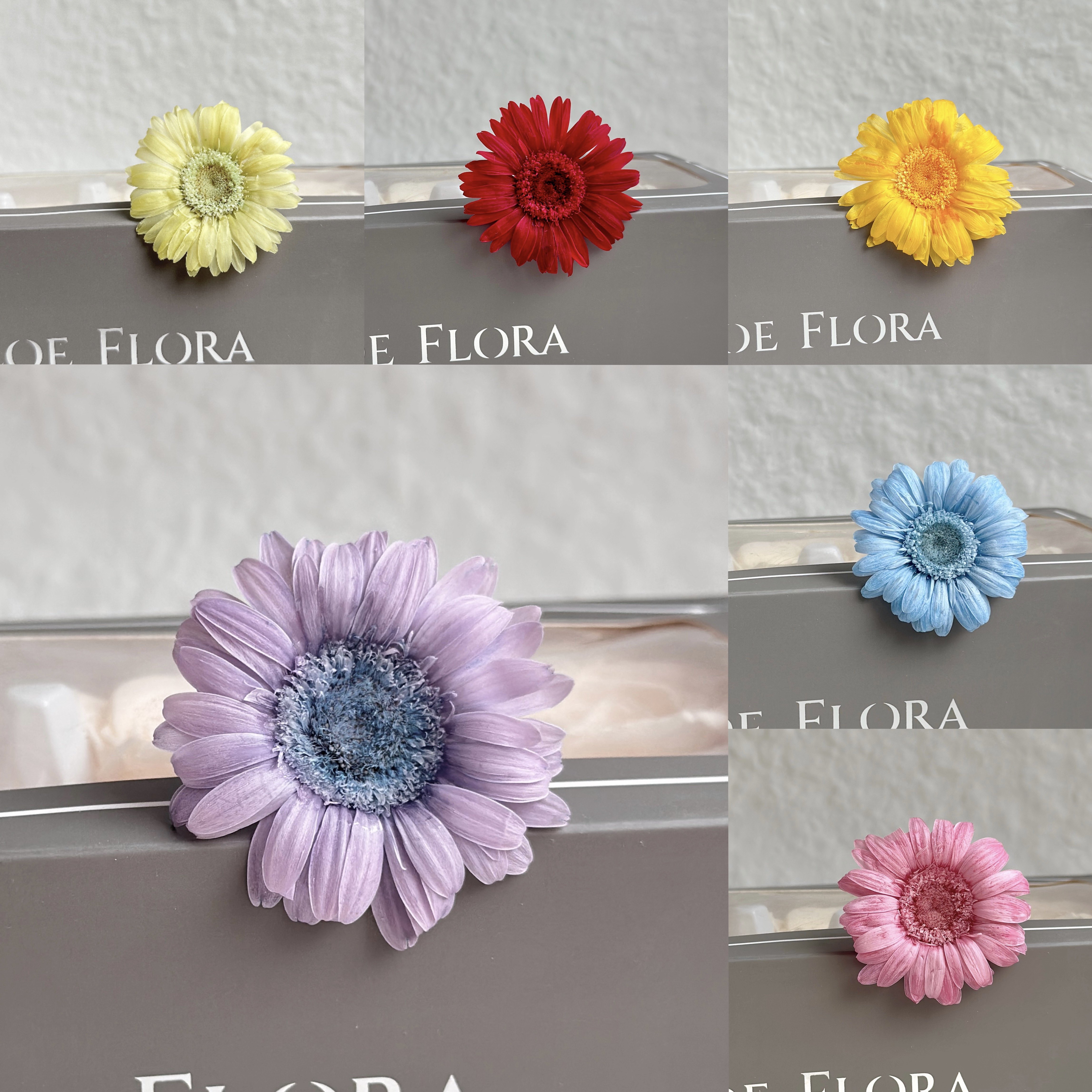 非洲菊永生花4-5cm小号扶郎花束客厅装饰摆设diy插花花材花束配花