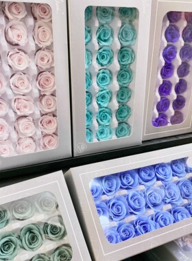 佐薇2-3cm玫瑰花整盒21朵A级永生花迷你花头多头材料diy材料包