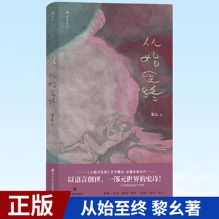 现货正版 从始至终 关于世界与万物的长篇小说 青年文学中国华语原创文学 现当代小说 9787541161445