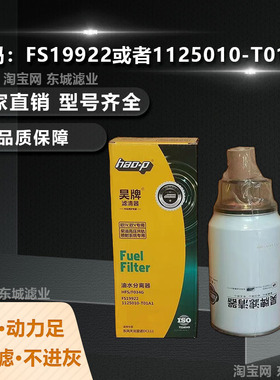 FS19922柴油滤芯天龙大力神雷诺1125010-T01A1燃油滤清器柴油格