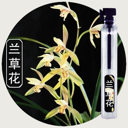 正品偶遇私家兰花兰草花味香水男女淡香清新幽雅花香味送小样原创