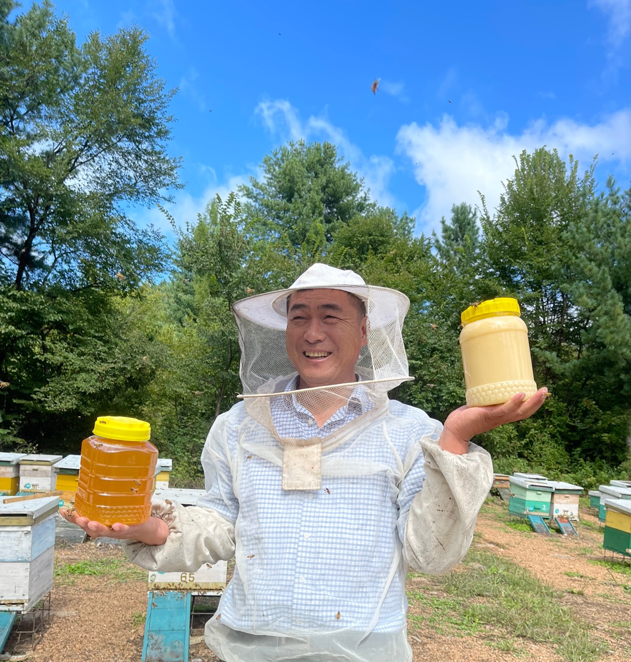 42.5度以上小兴安岭伊春椴树蜜东北纯正成熟蜜天然孕妇可食用蜂蜜